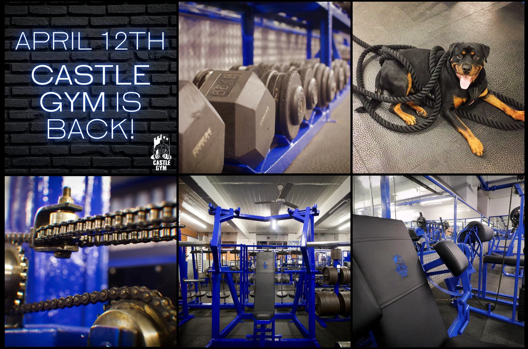Castle Gym reopening grid: a neon April 12th Castle Gym is back post beside photos of blue dumbbell racks, a rottweiler in battle ropes, chain drives and the blue training floor